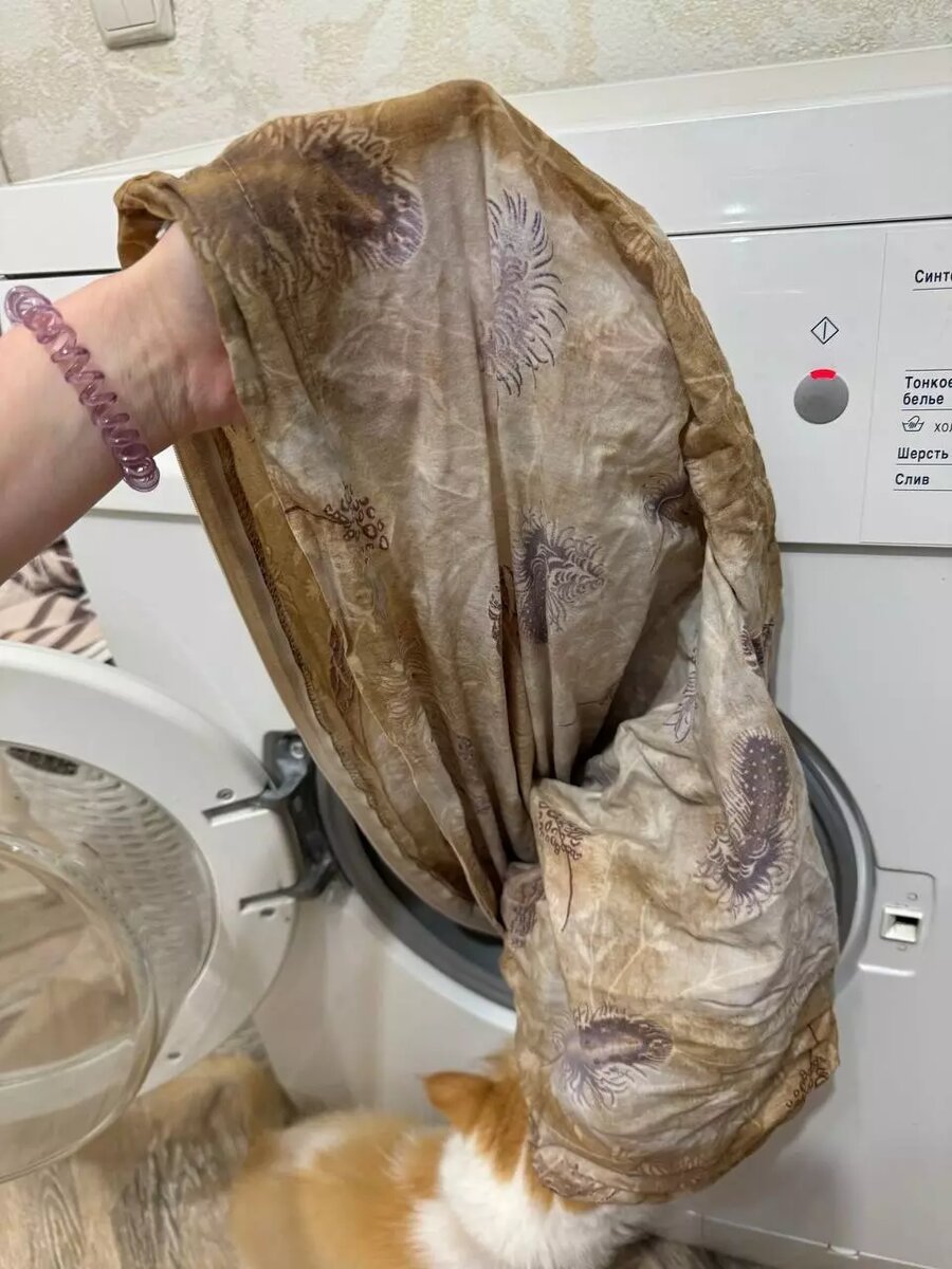     Источник: Марита Б / тг-канал Максима Слепова