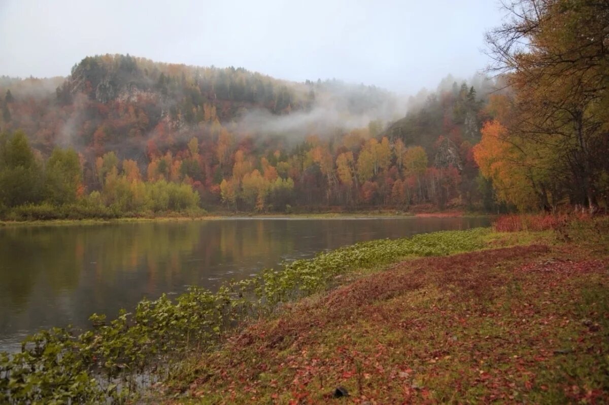    В заповедниках Башкирии будут проводить постоянные рейды