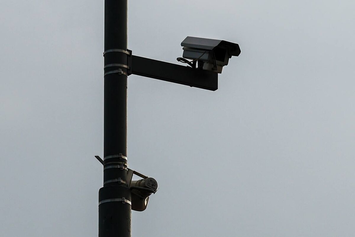 Фото: Софья Сандурская/ТАСС 