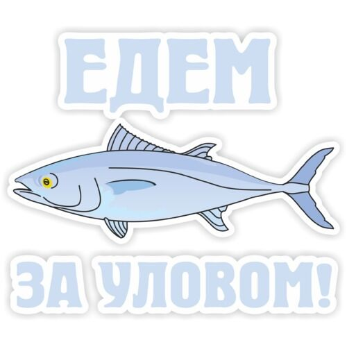 Изображение взято из открытого источника сети Интернет