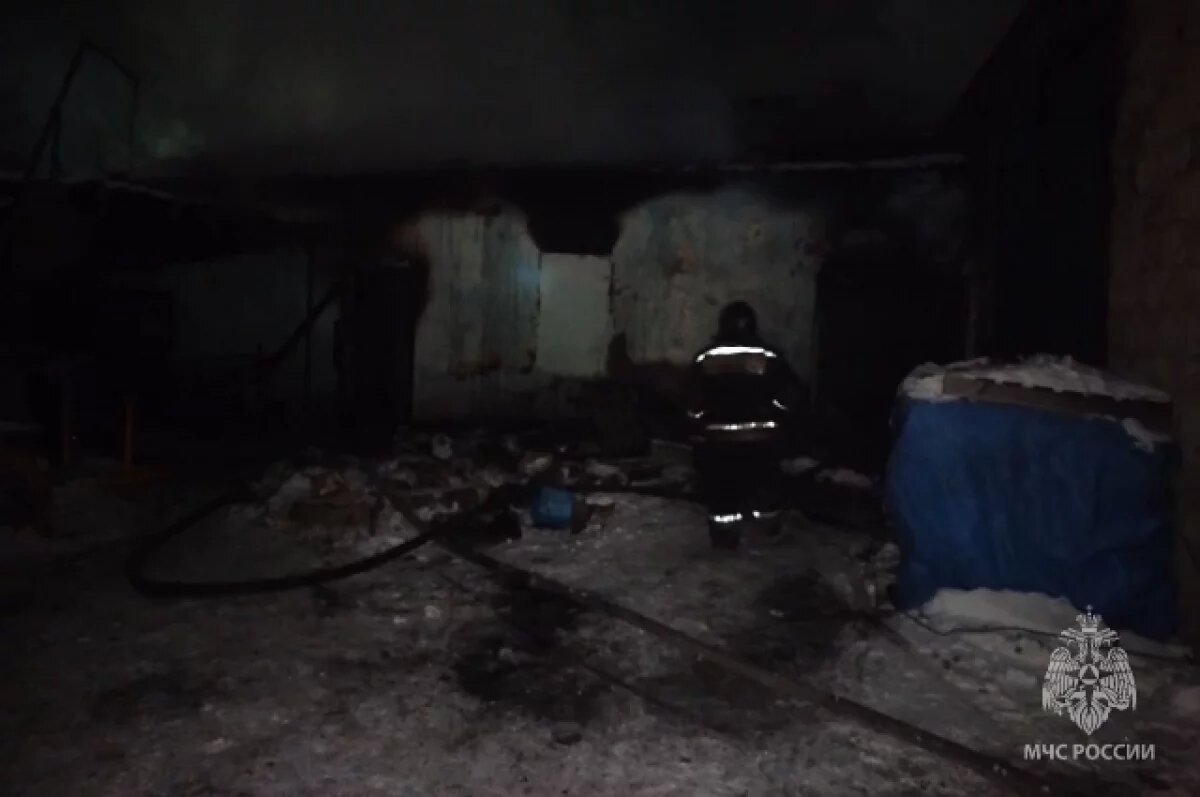    19-летний мужчина сгорел на пожаре в бесхозном здании в Шилке