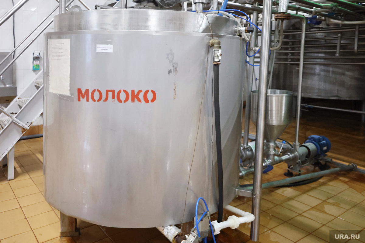 Рост цен на молоко связывают с подорожанием сырья для производства, запчастей и логистики. Фото: Екатерина Сычкова © URA.RU