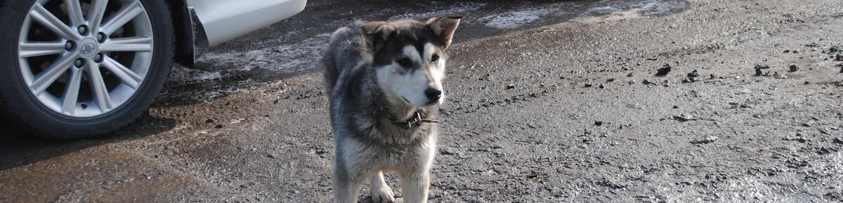    Фото: Анна Григор