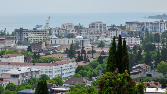    Оппозиция в Абхазии требует освобождения задержанных активистов Ирина Петрова