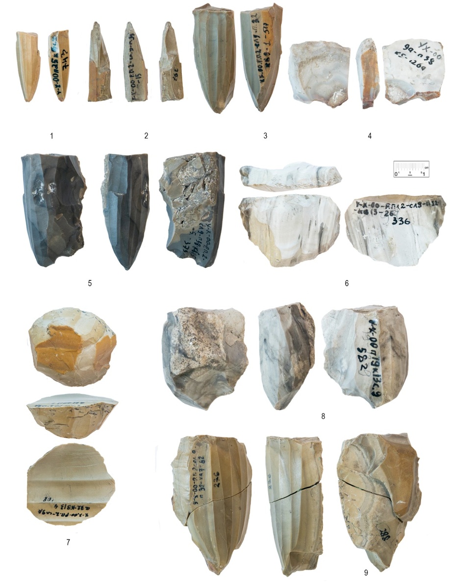 Каменные артефакты, обнаруженные в мезолитическом горизонте стоянки Усть-Хайта. Оригиналы фото предоставлены НИЦ «Байкальский Регион». Источник: Александр Уланов