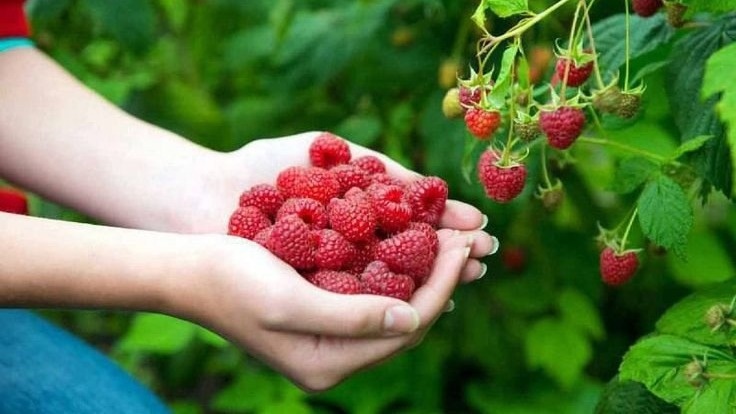 Фото с pinterest.com