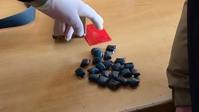      Фото: ГУ МВД по СК