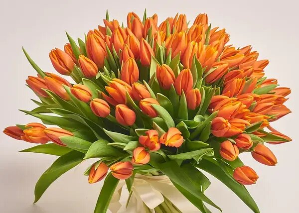   101 тюльпан оранж в букете от AzaliaNow Мария Казённова