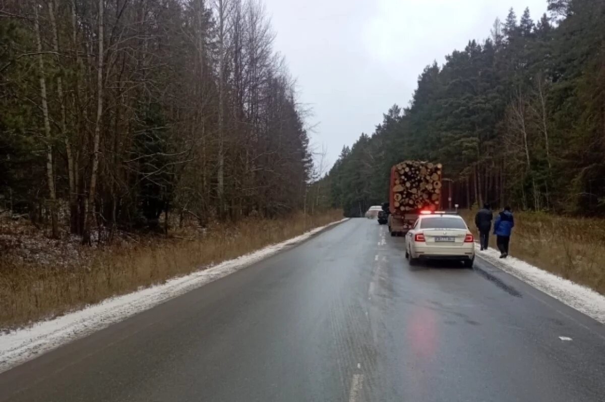    В Удмуртии в ДТП с КАМАЗом пострадали младенец и четверо взрослых