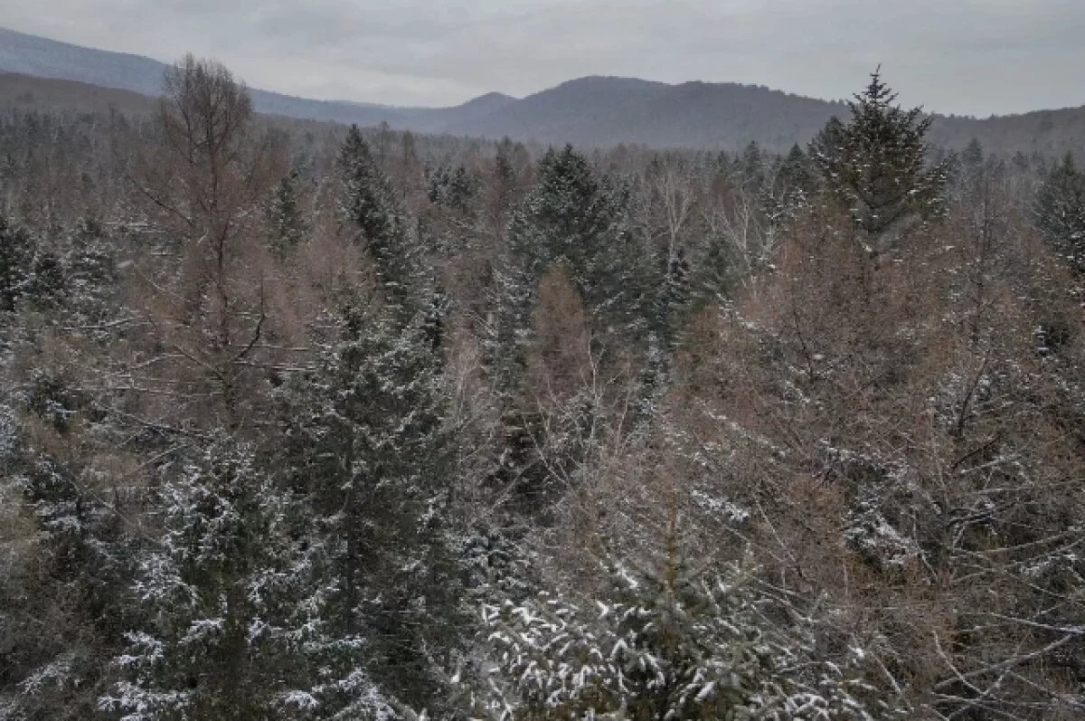    В ЕАО снова можно гулять по лесам