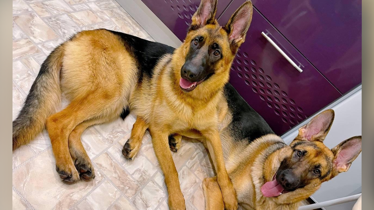    Фото: gorsite.ru