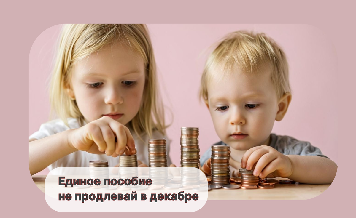 Когда и как продлить единое пособие, если выплаты заканчиваются в декабре — важные советы на 2024 год 