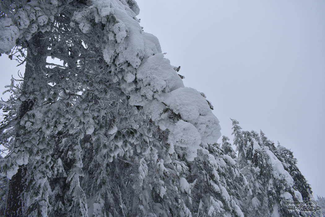    Фото Гертруда Тиунова © ИА «Уральский меридиан» Ника Румянцева