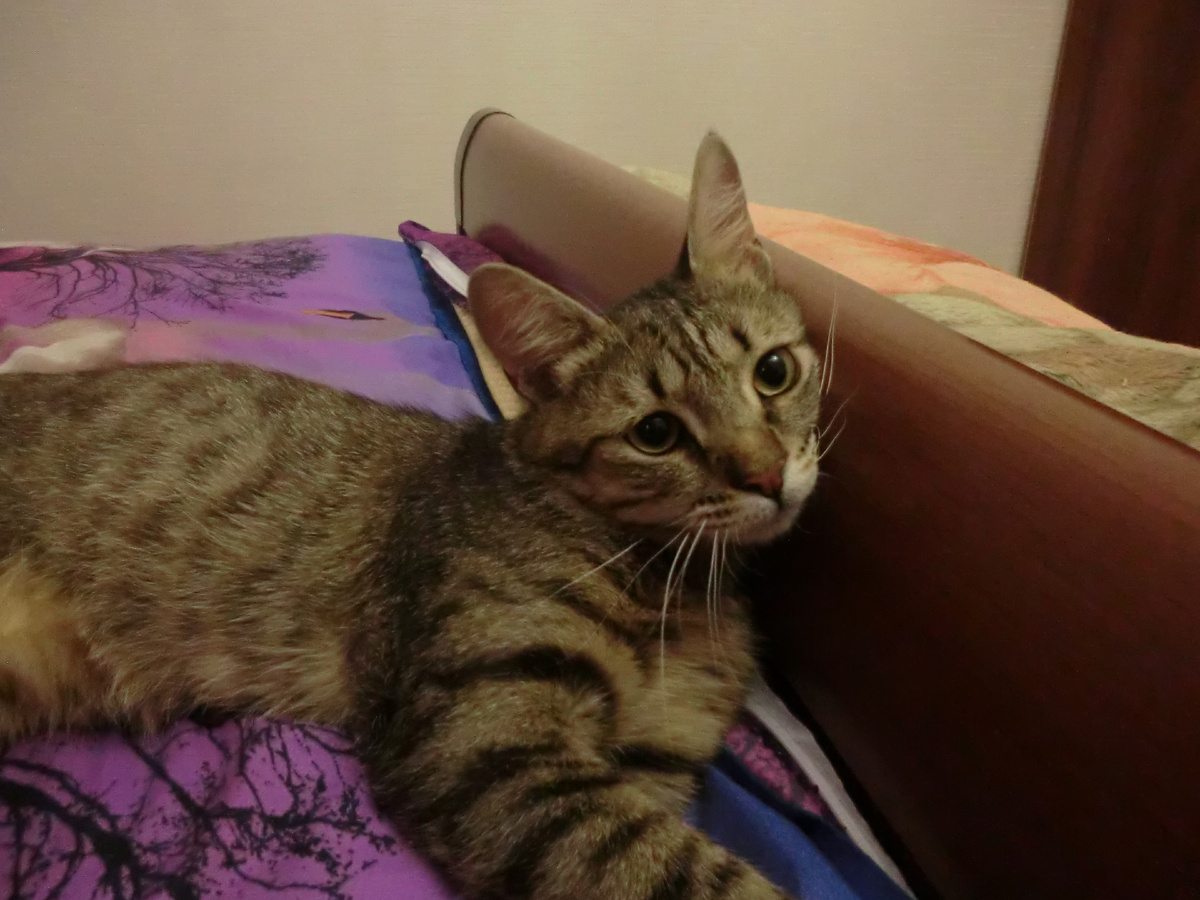 Таким он появился в нашей с Толей жизни