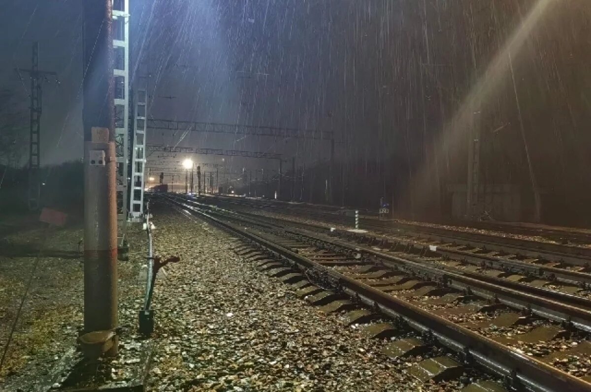    Поезд Казахстан-Новосибирск начнет курсировать через Бердск