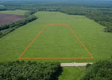 Из картинок Яндекса