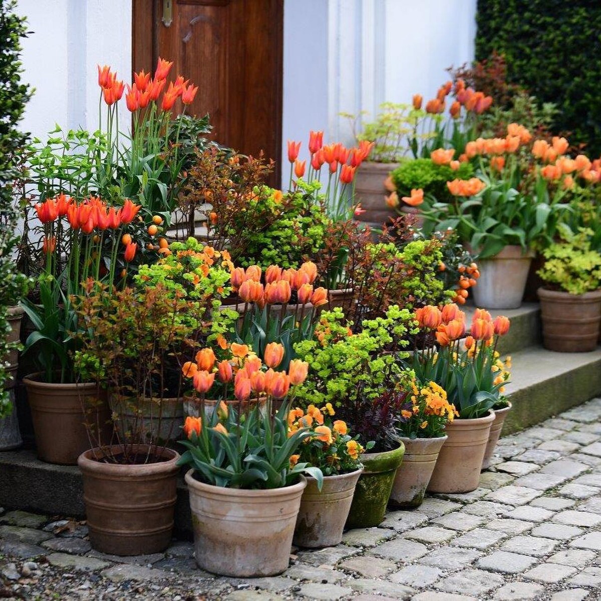 Цветочные композиции и кашпо. Яндекс картинки.