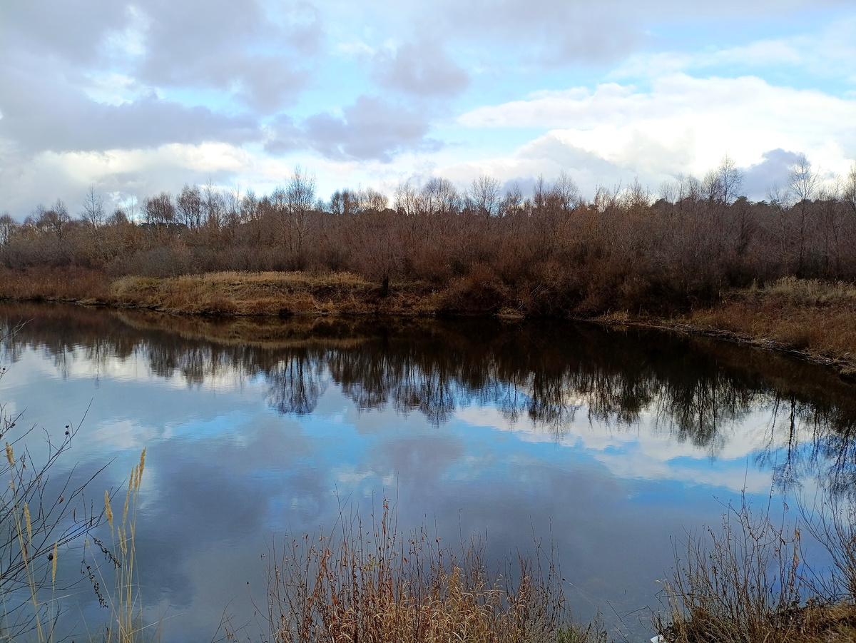 Фотография автора