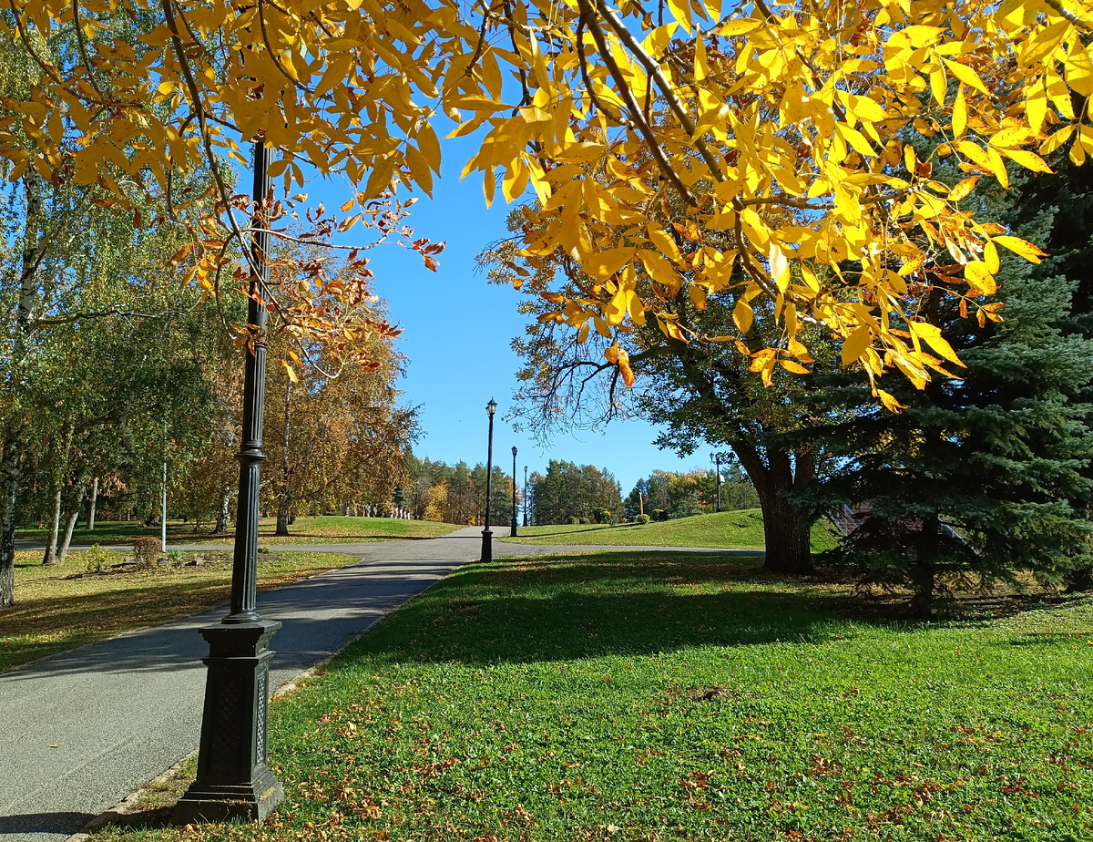 Фотография автора