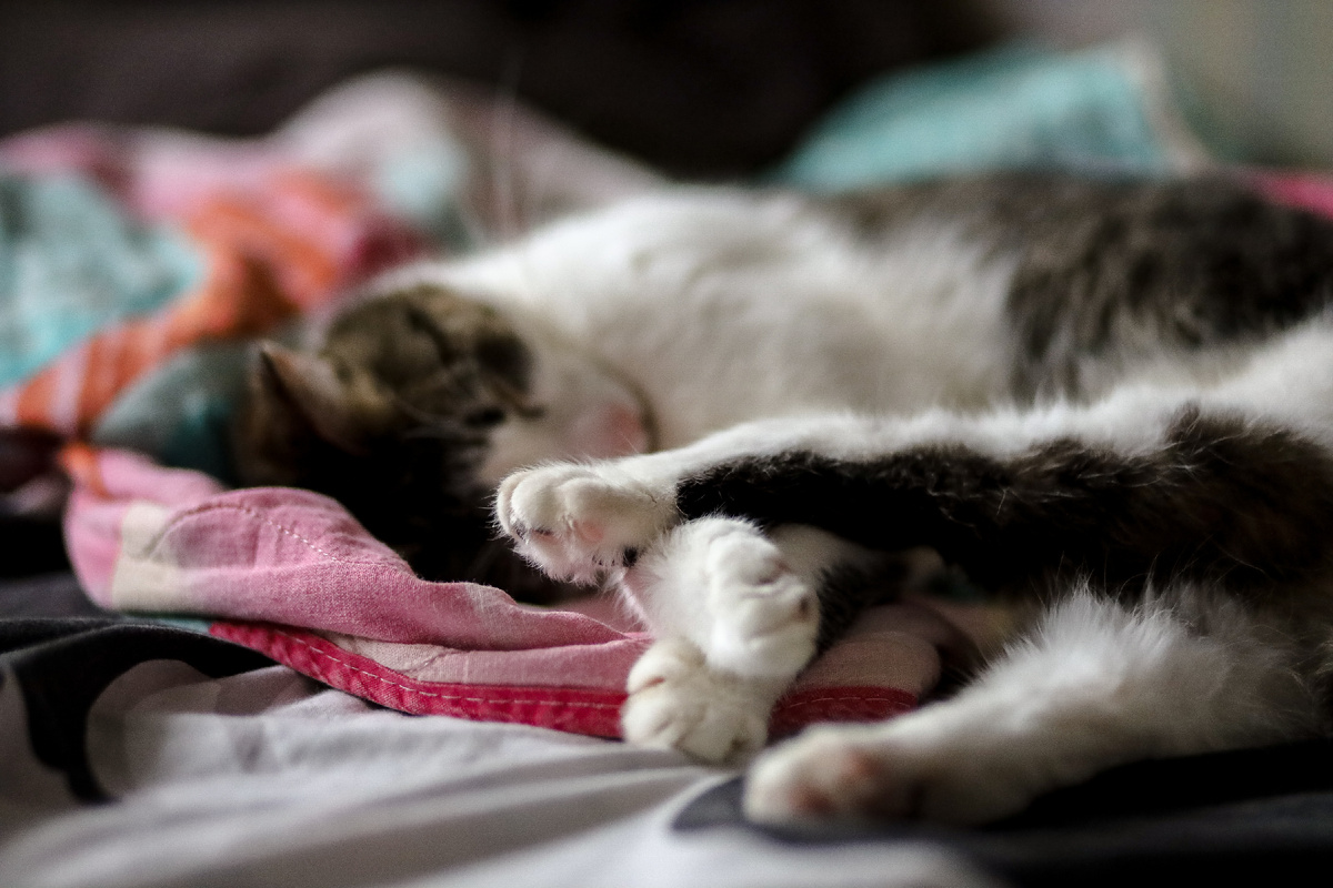 Источник: Globallookpress.com