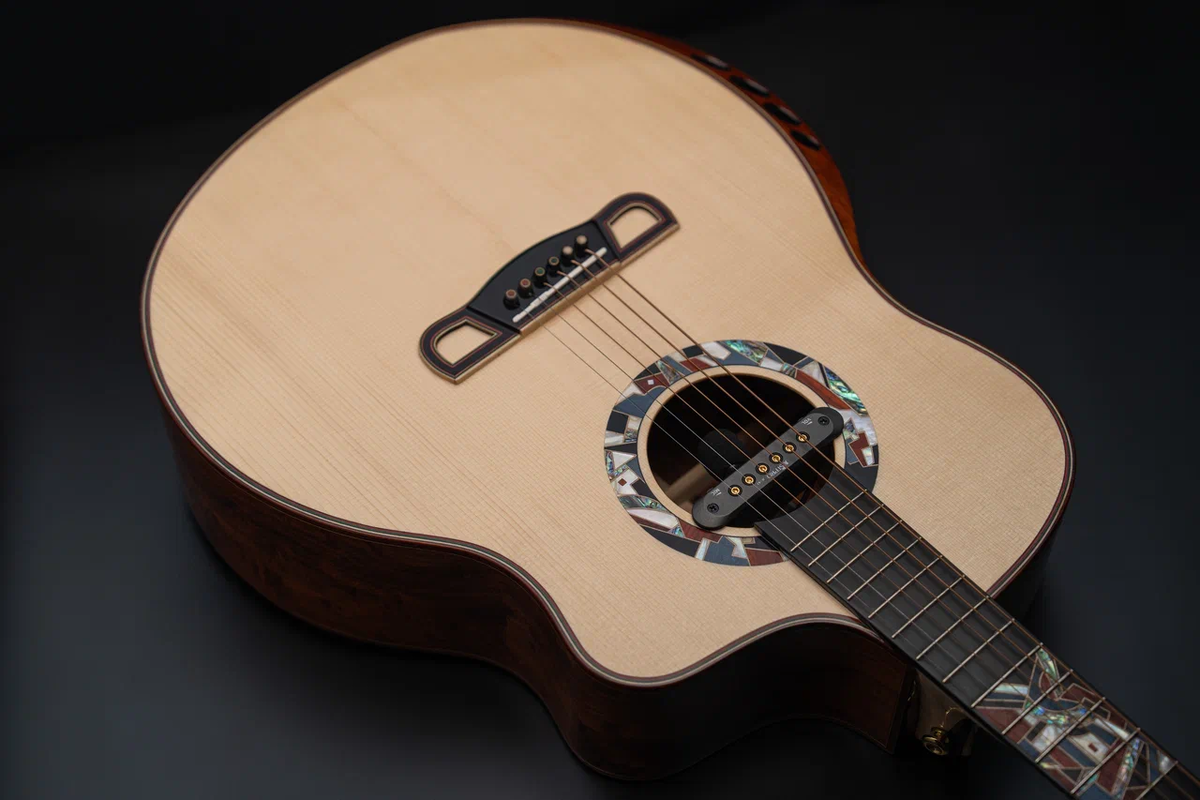 Электроакустическая гитара MeridaExtrema Poison