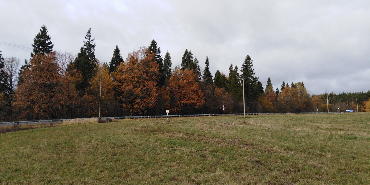 Хочется рисовать...