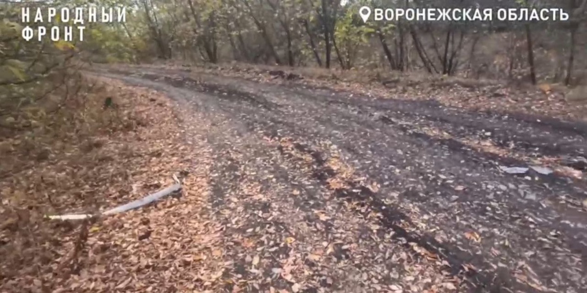    Более трех тысяч жителей воронежских поселений просят власти сделать нормальную дорогу кадр из видео ОНФ