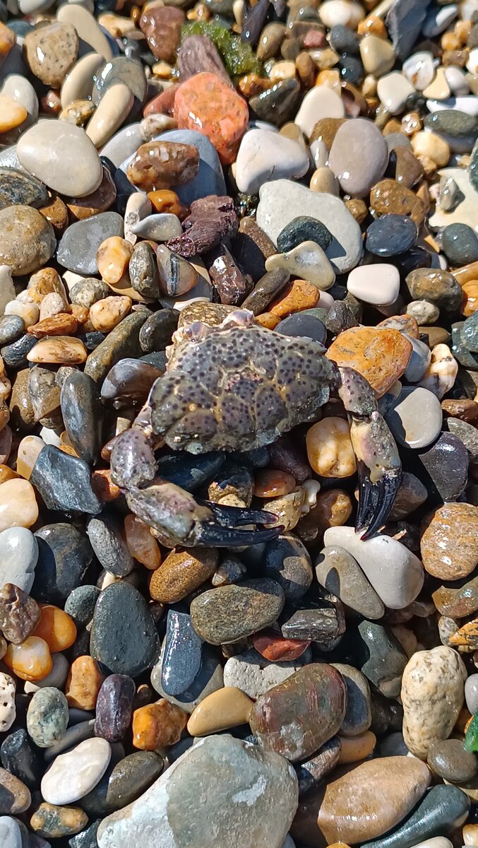 Вот такие соседи) 