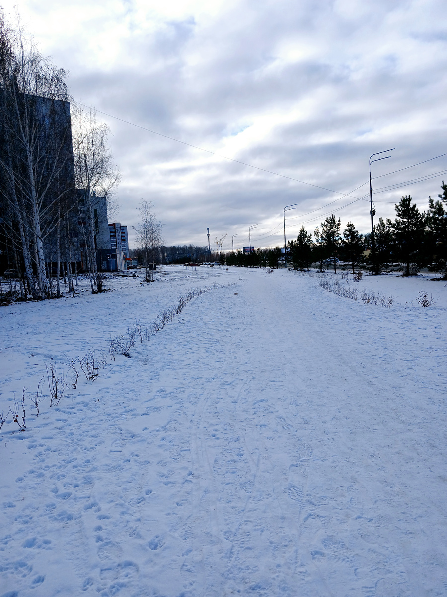 "Доброе утро,  мир! Ты прекрасен!" Фото автора 