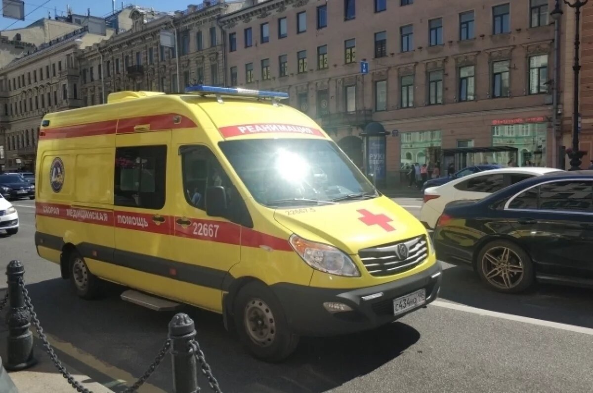    Перебегавшую дорогу петербурженку раздавил мусоровоз в центре города