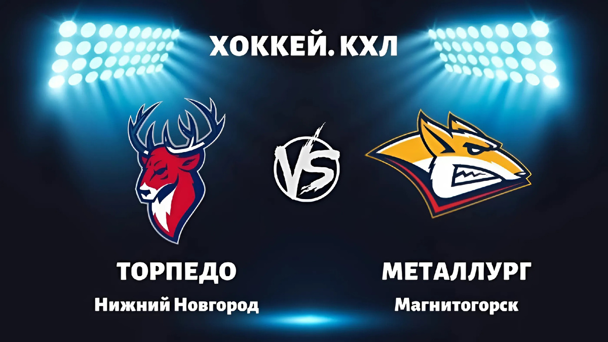 Хоккейный матч «Торпедо» - «Металлург» 3 декабря