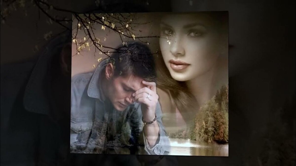 Из открытого доступа в сети