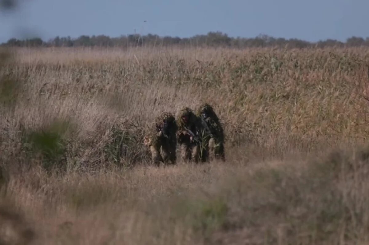    Эксперт Райснер: при прорыве у Красноармейска ВС РФ быстро дойдут до Днепра