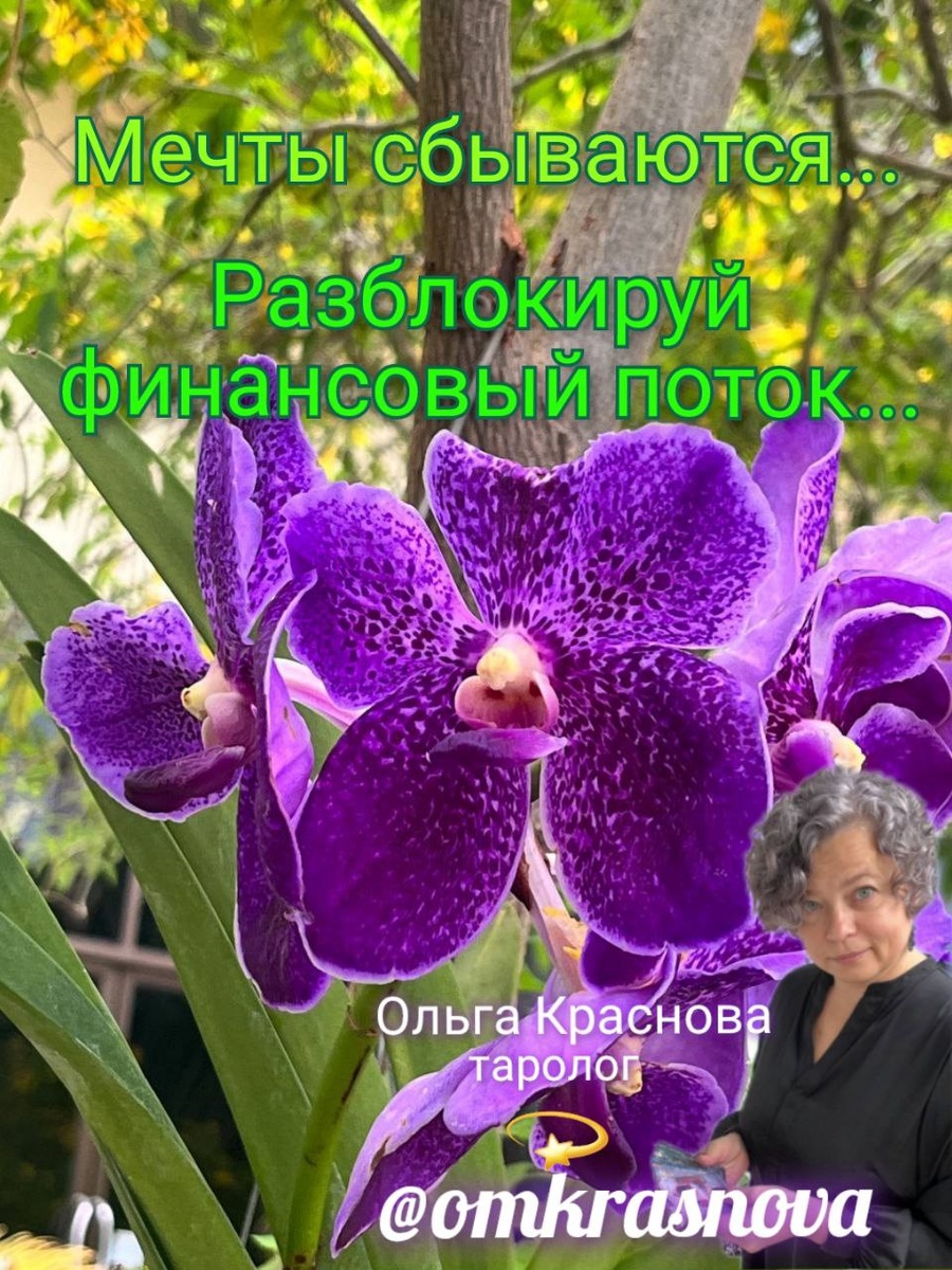 Таро - мечты сбываются