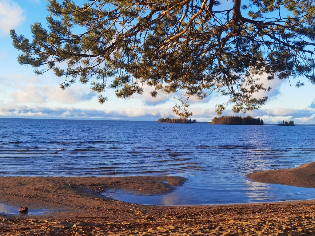 фото Екатерины Иртеговой