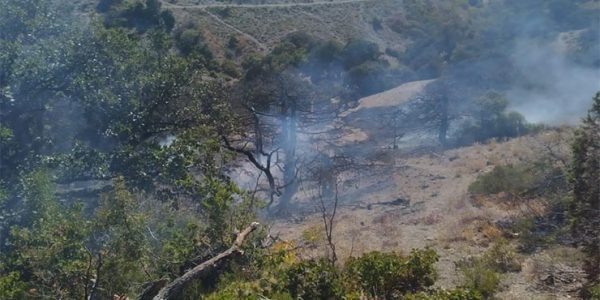    Фото пресс-службы министерства природы Краснодарского края