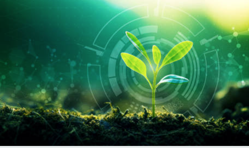 Фото https://www.istockphoto.com