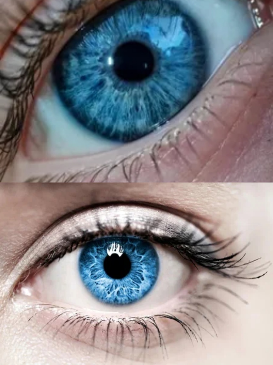 Фотоколлаж автора статьи 