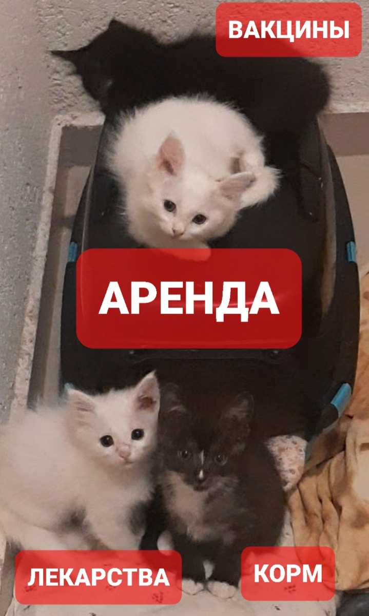 Малютки. 8 Малышей в ПВС.