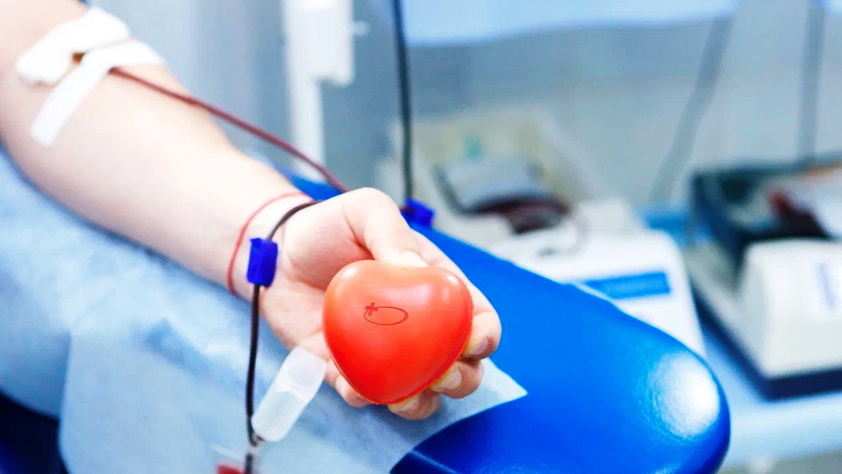    Югорчанам рассказали, какой должен быть вес у донора крови
