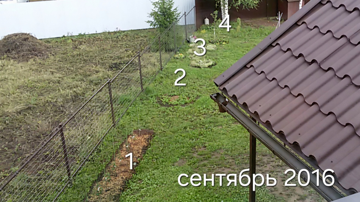 1 - малинник, 2- вишня, 3 и 4 - яблони.