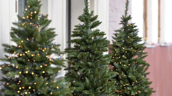    © Sputnik / Татьяна Федоренко