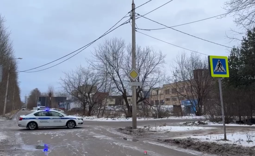    Фото: Госавтоинспекция Пермского края Полина Анкушина