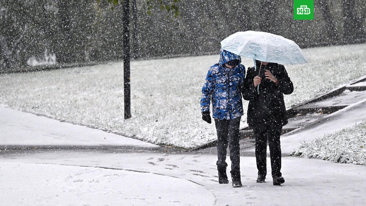    Фото: РИА Новости © 2024, Пелагия Тихонова