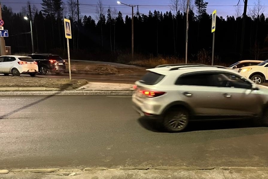    Фото: Госавтоинспекция Петрозаводска