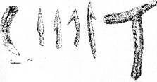 Городище Лбище, юхновская культура.Поделки из кости: амулет из кабаньего клыка,наконечники стрел, мотыга для обработки земли.