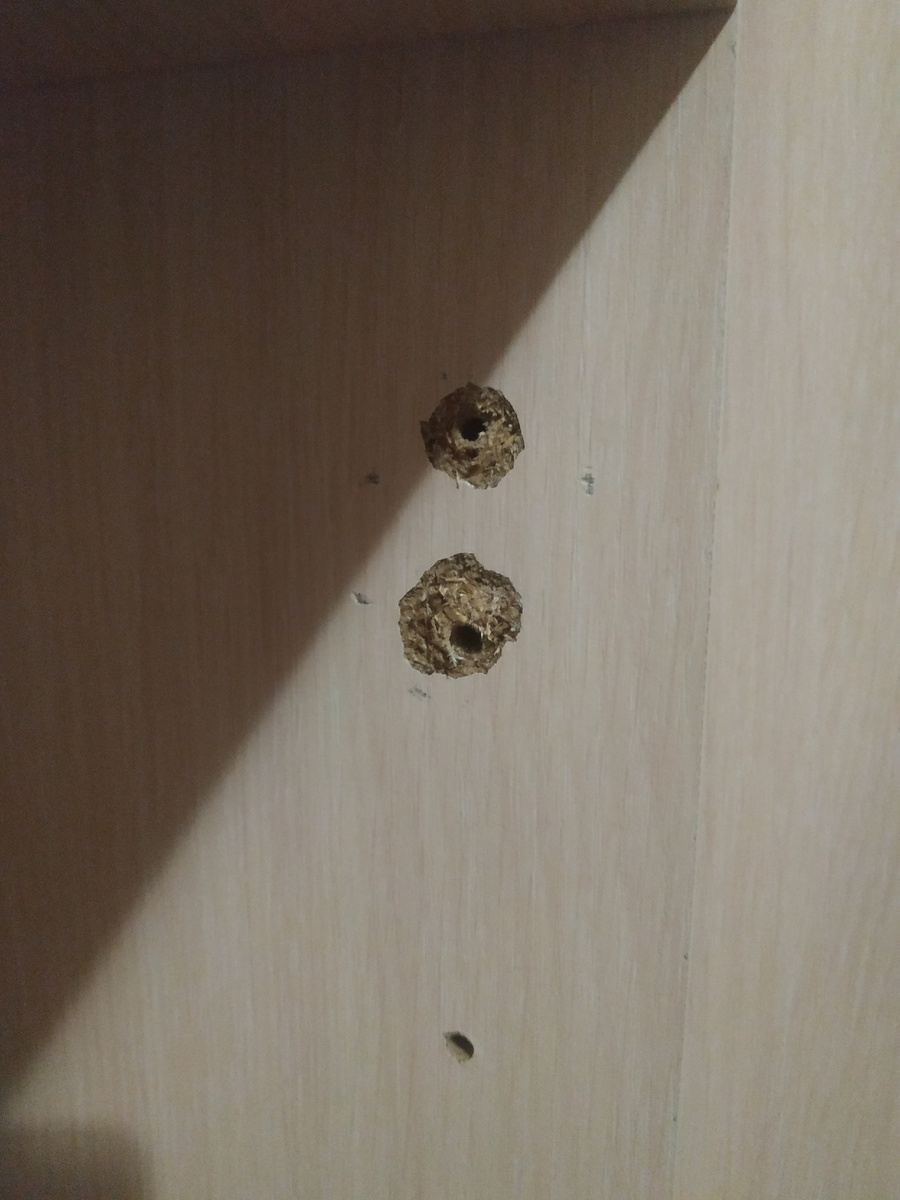 У нас в шкафу дети выломали крепление петель, на фото представлено. 