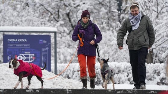    Синоптик рассказала о погоде в Москве во второй половине ноября и зимой Алина Городниченко