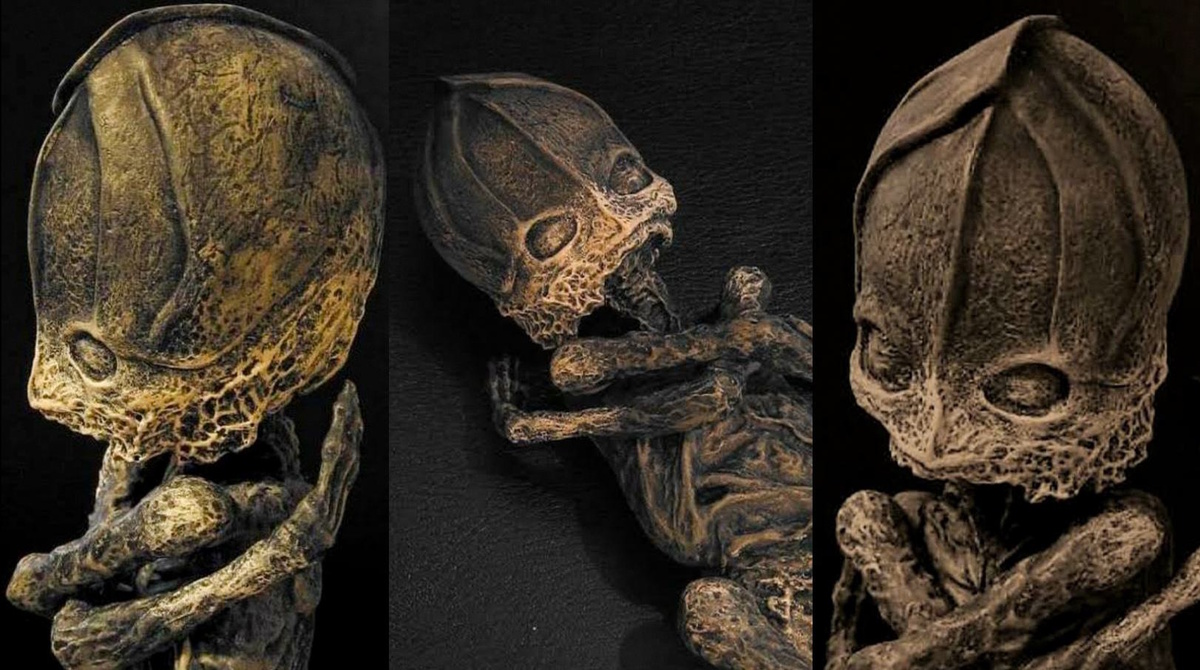 Реконструкция мумии Алёшеньки. (Фото: pic.rutubelist.ru).