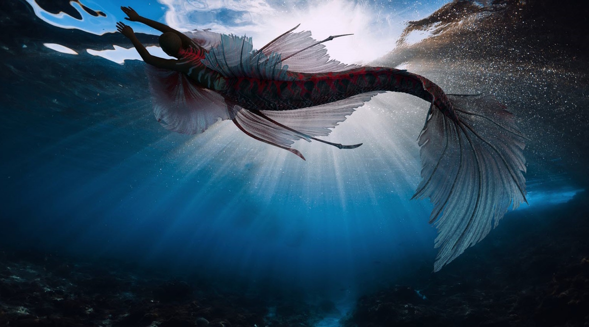 Неужели в сети попала русалка? (Фото: cdn-s-www.dna.fr).